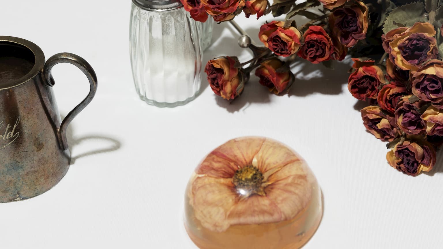 a5cP6000004eNy6IAE-a0bP6000004WAd3IAG